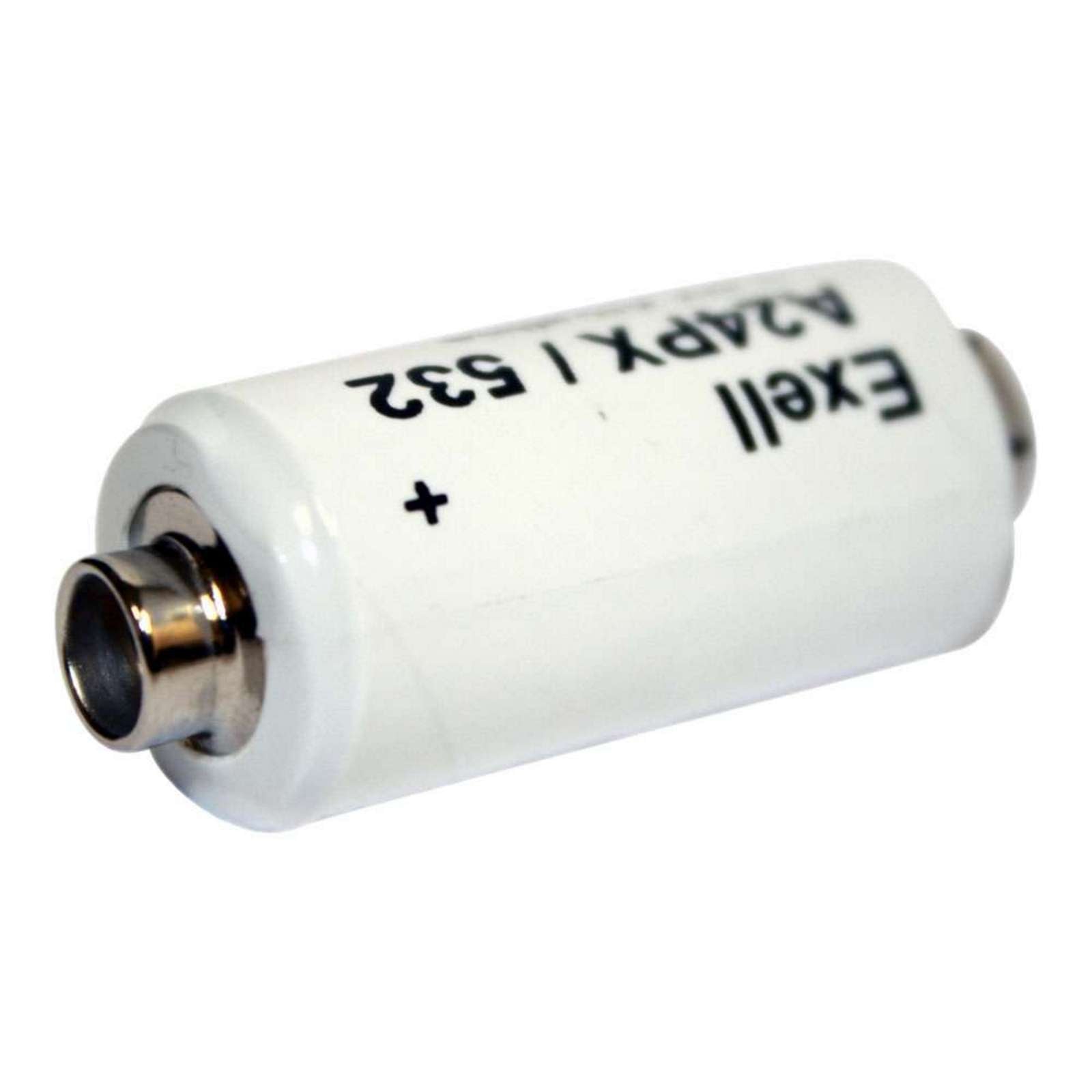 Exell Battery Alkaline Battery A24PX Compatible with V24PX RPX24 532 PX24 EPX24