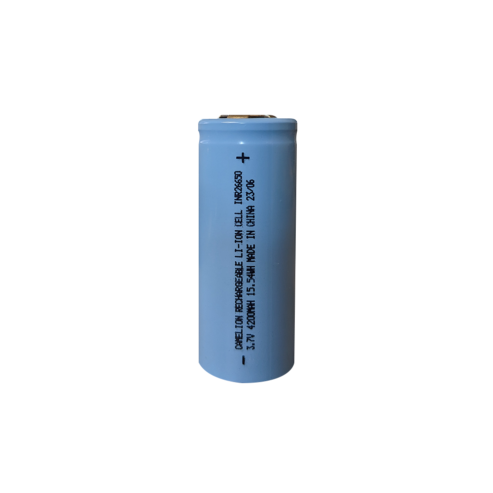 Batterie rechargeable 12V 4200 mAh