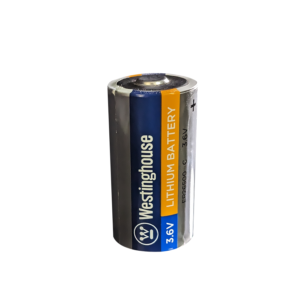ER26500 C Size 3.6V 9000mAh High Energy Lithium Battery,100 Packs