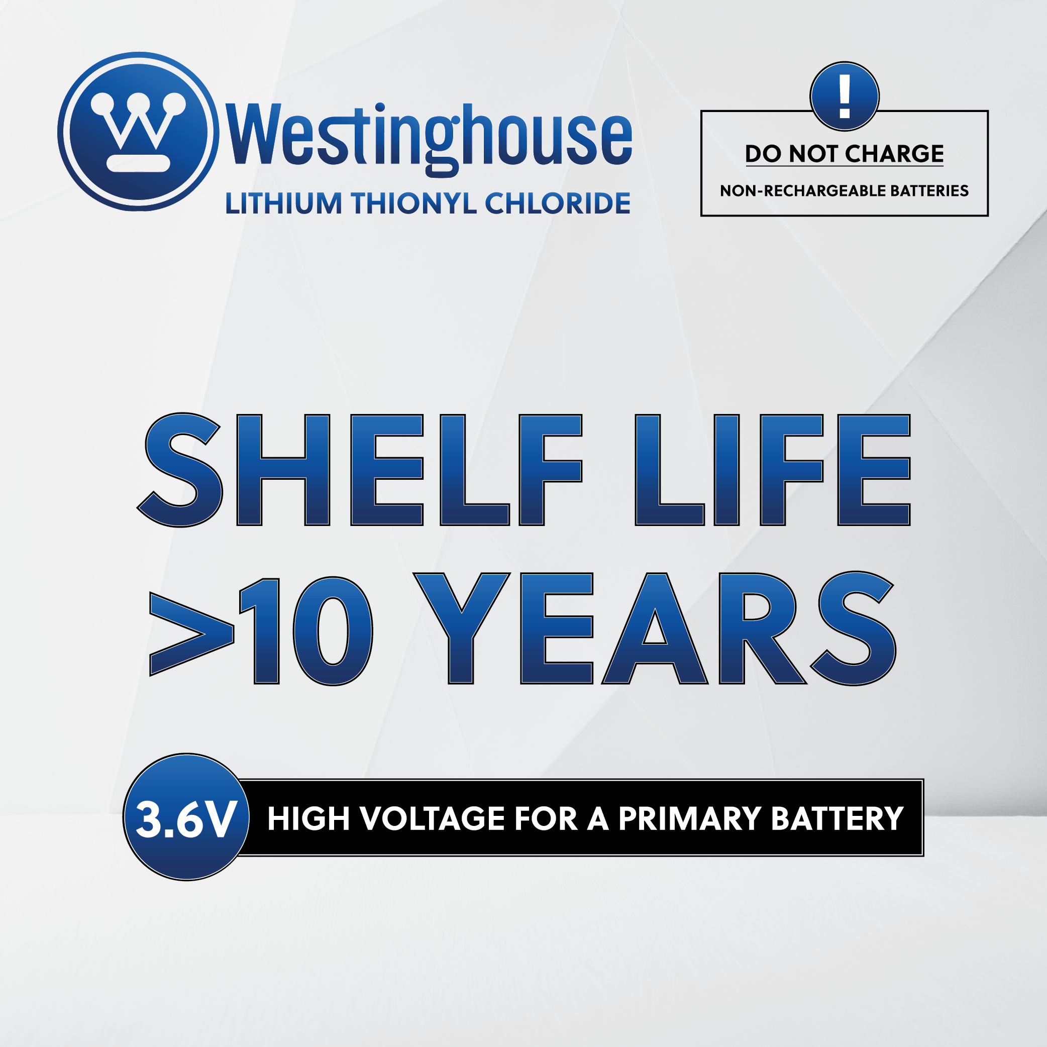 Westinghouse ER34615 D size 3.6V Lithium Primary Battery for Specialized Devices - Non Rechargeable