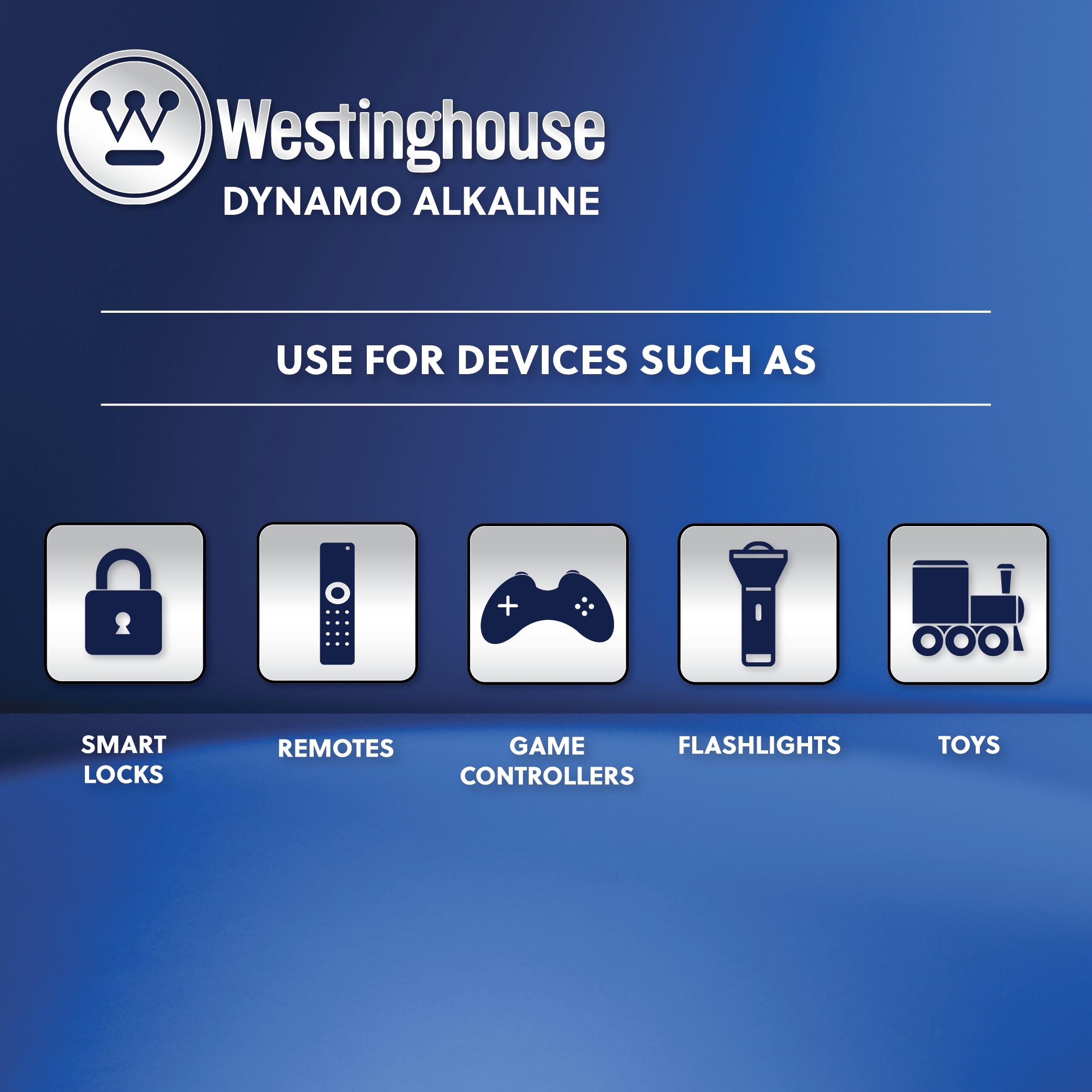 Westinghouse C Dynamo Alkaline Plastic Tub of 6