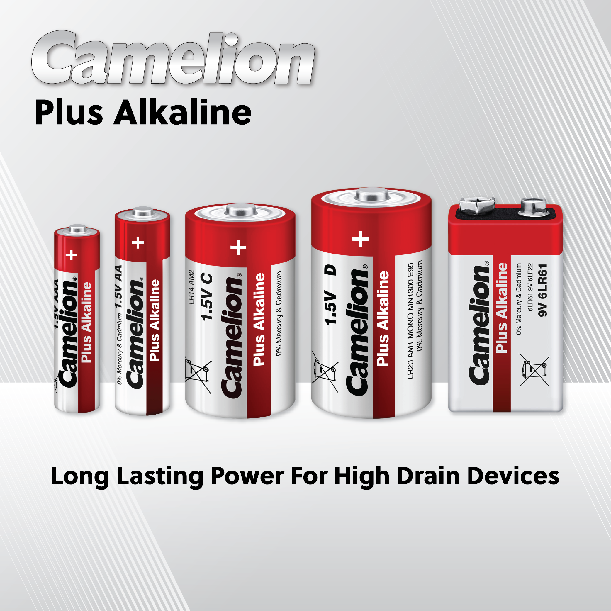 Camelion AA Plus Alkaline 24 Pack Box