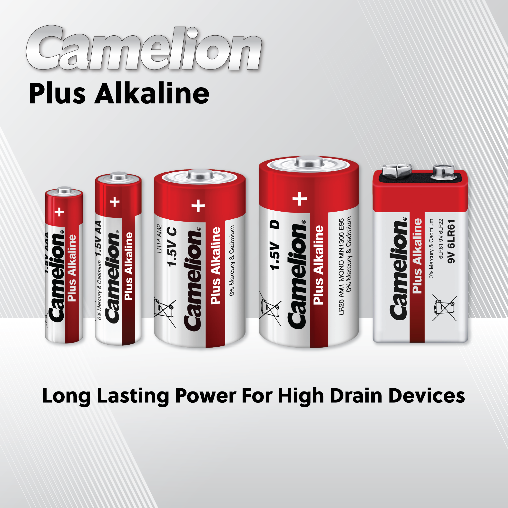 Camelion AA Plus Alkaline 24 Hard Plastic Case