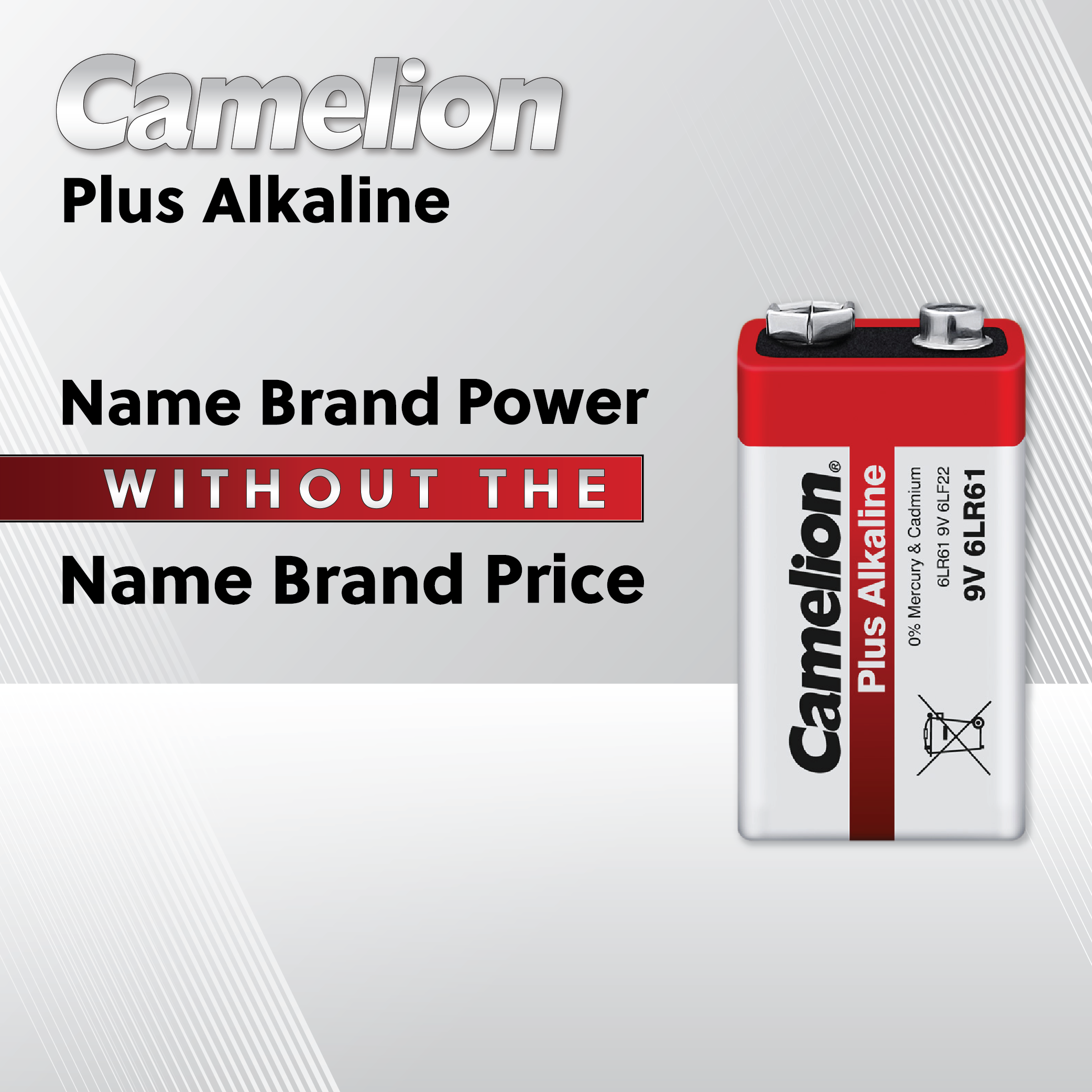 Camelion AAA Alkaline Plus Hard Plastic Case of 24