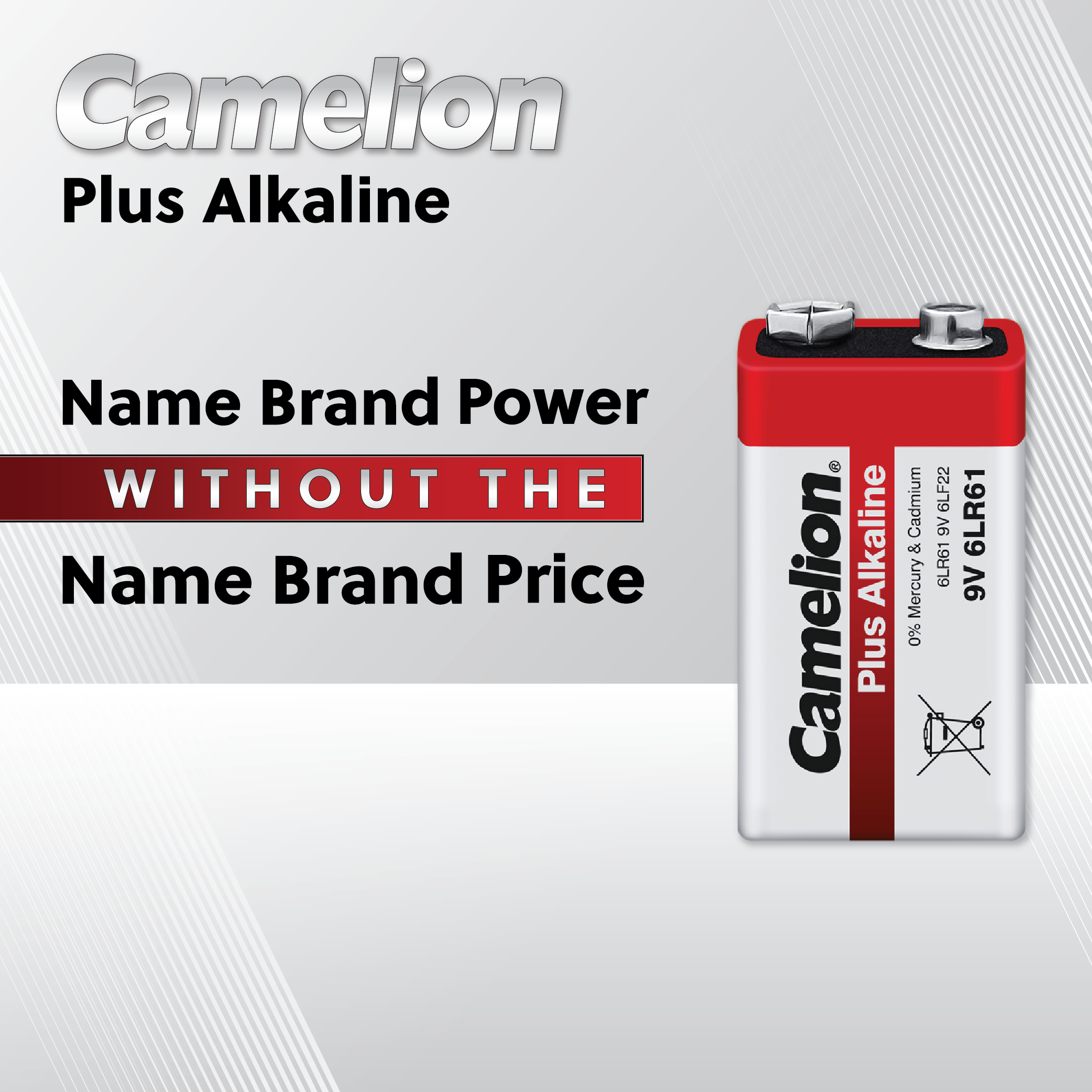 Camelion AA Plus Alkaline 24 Hard Plastic Case