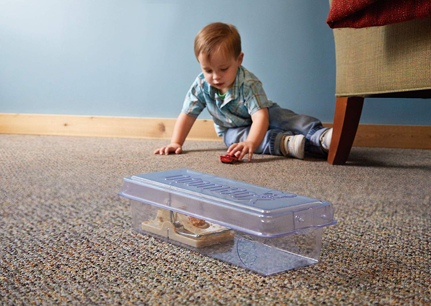 DoomBox Enclosed Mouse - Keeps the Trap (&mice( from Pets & Kids at Pl –  Batteries 4 Stores