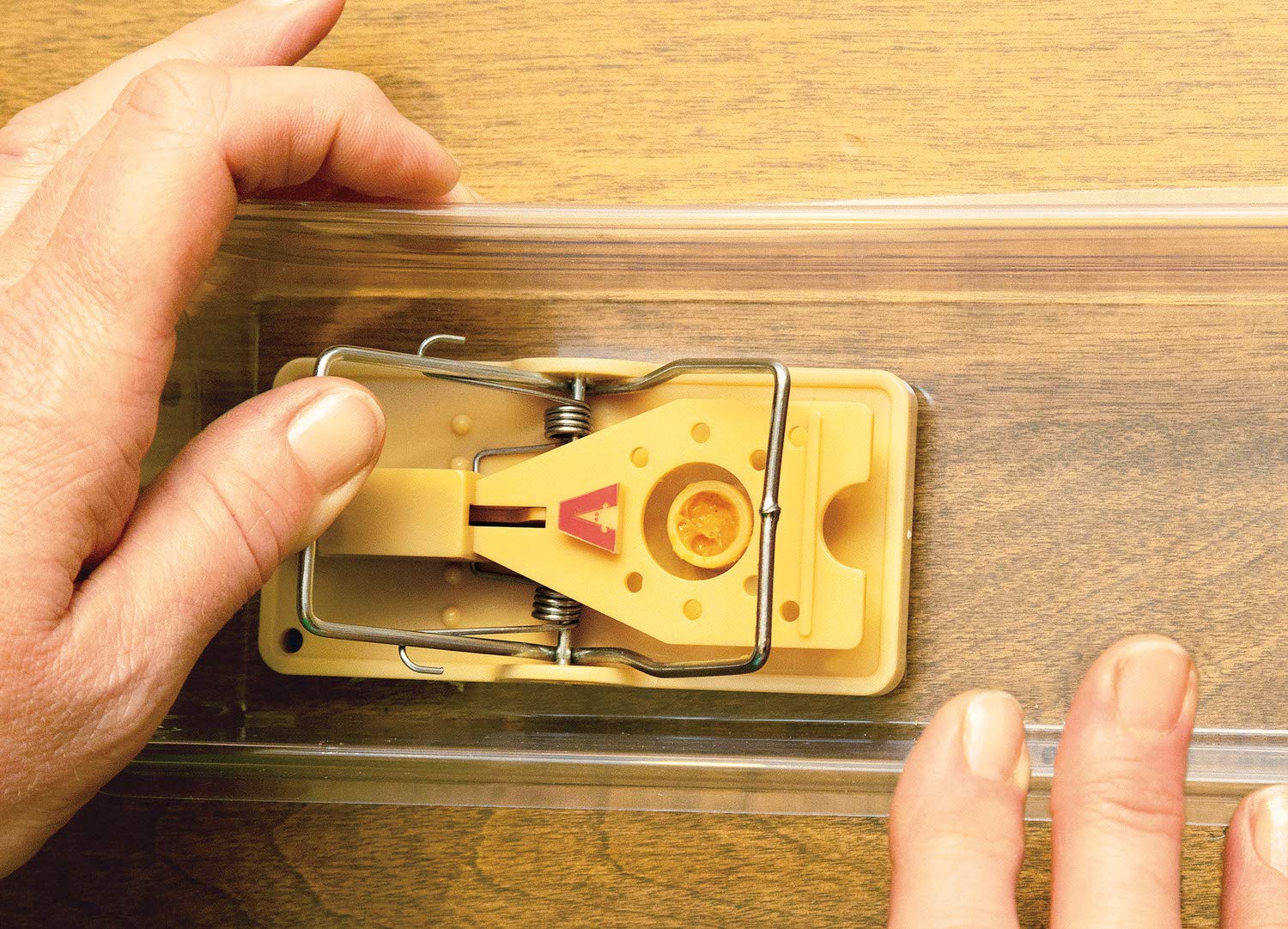 Doombox Better Mouse Trap - Safe for Kids and Pets