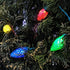 Pacific Accents C7 100 LED Battery Operated String Lights